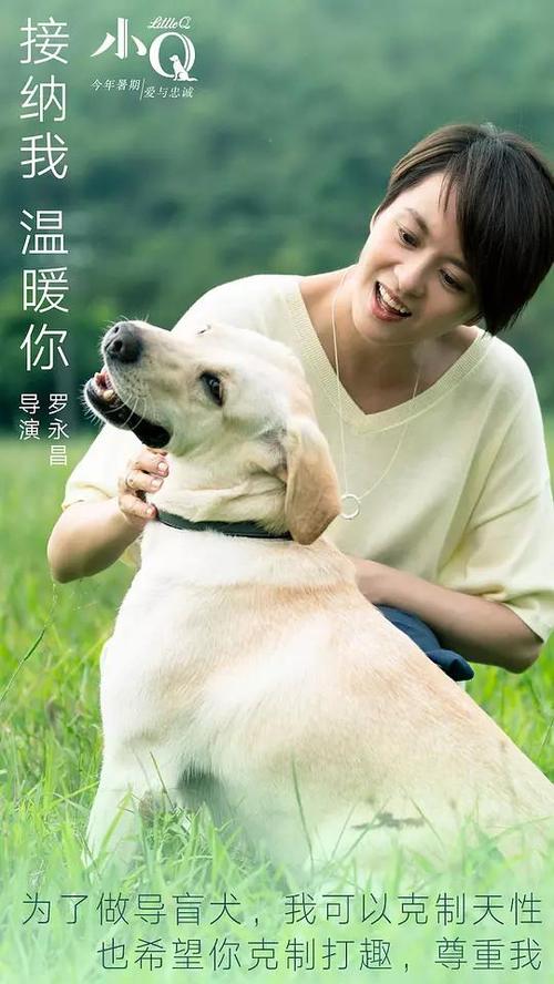 不来梅哈芬应用技术大学文凭购买